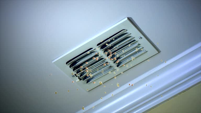 Best Air Duct Cleaning Near Me  in Sunny Isles Beach, FL
