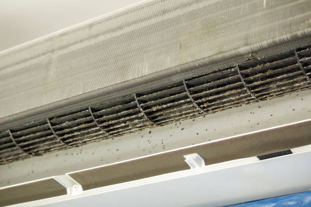 Best Dryer Vent Cleaning Services  in Sunny Isles Beach, FL